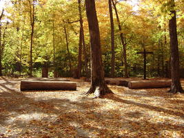 Chapel of the Templed Trees