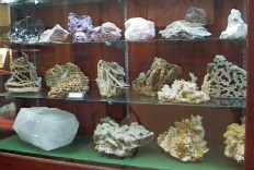 Display case of minerals